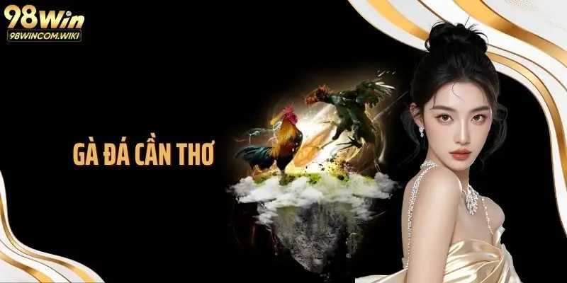 Gà Đá Cần Thơ 98WIN: Nhịp Đấu Kê Sôi Động Đậm Chất Miền Tây